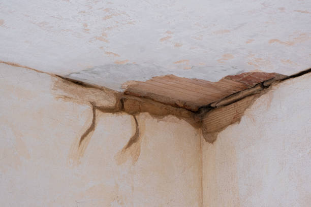 Best Ceiling water damage repair  in Gaffney, SC
