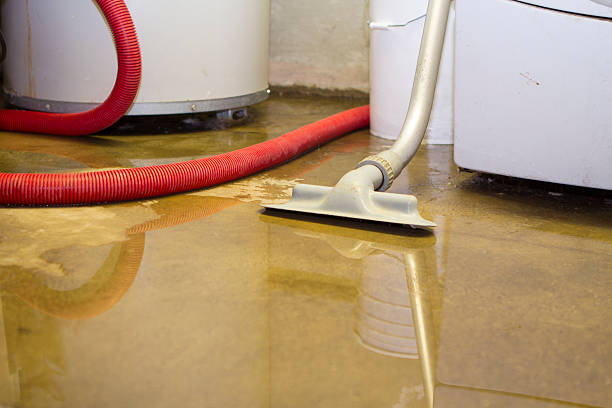 Carpet water damage restoration in Gaffney, SC